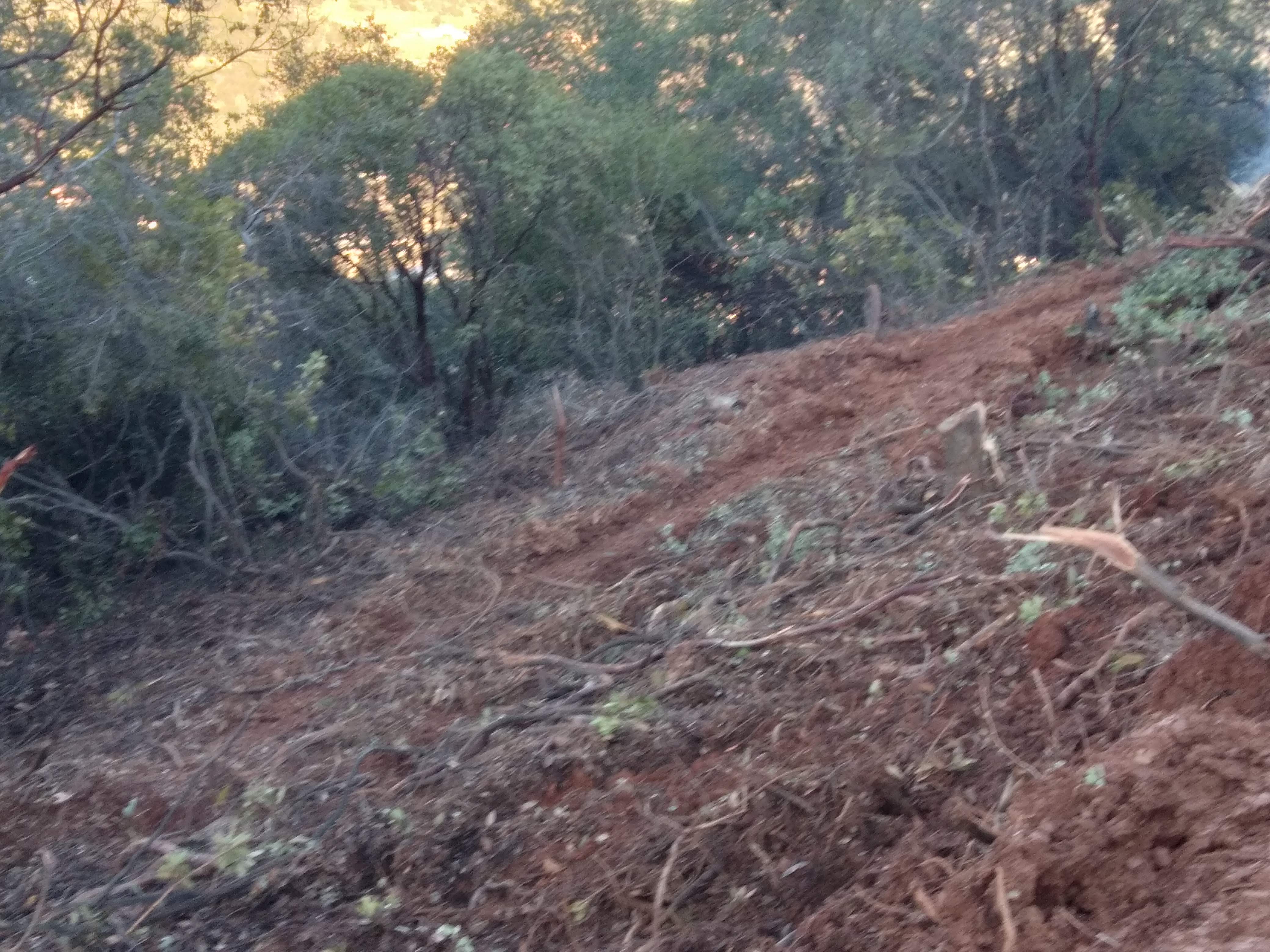 Cleared rural hillside after brush and vegetation removal in Mariposa CA