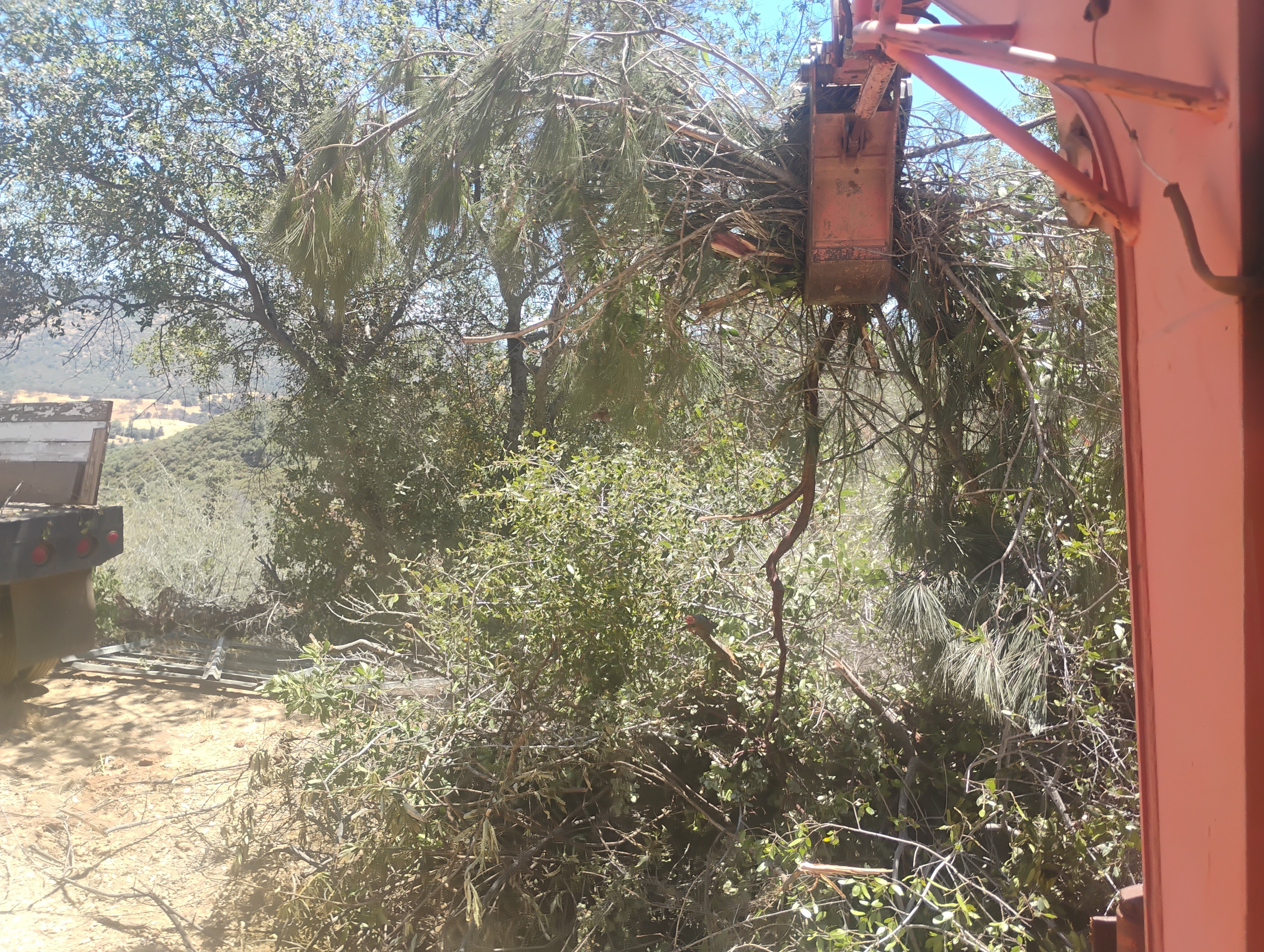 Brush clearing with excavator for land prep in Mariposa CA