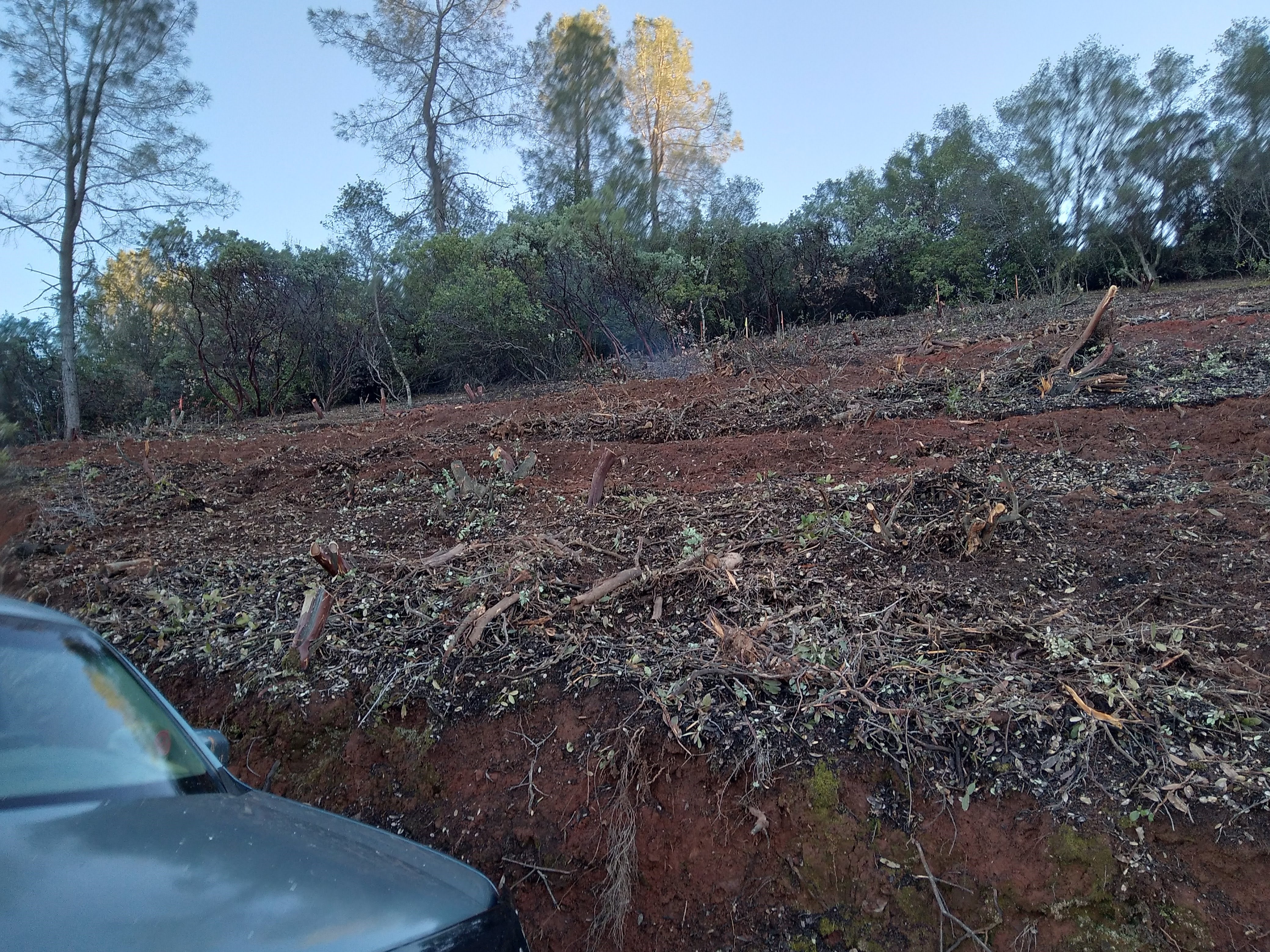 Land clearing and grading for hillside property in Mariposa CA by DCB Design Create Build