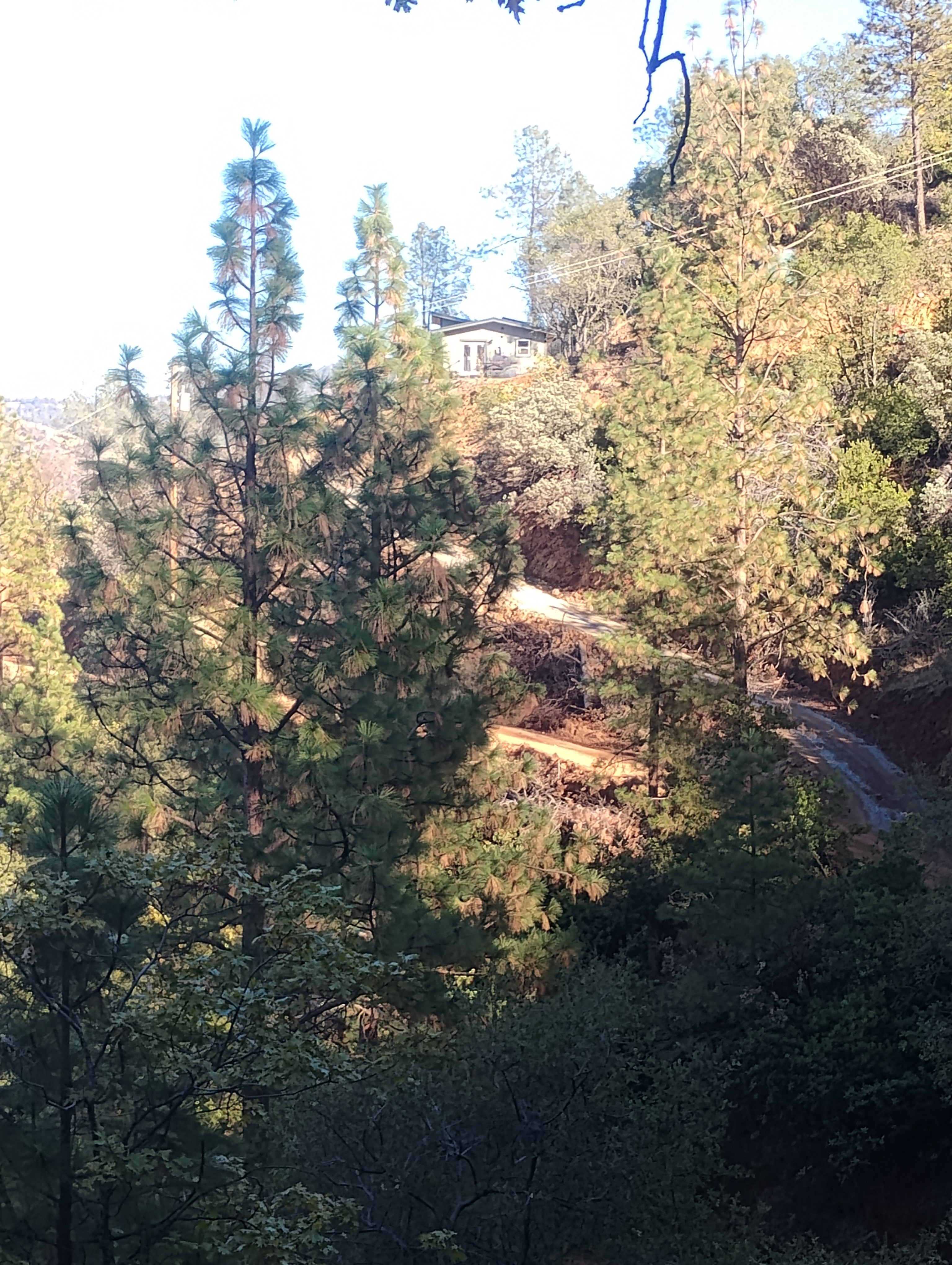 Steep hillside property access terrain in Mariposa CA